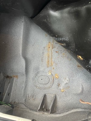 image 11 of interior