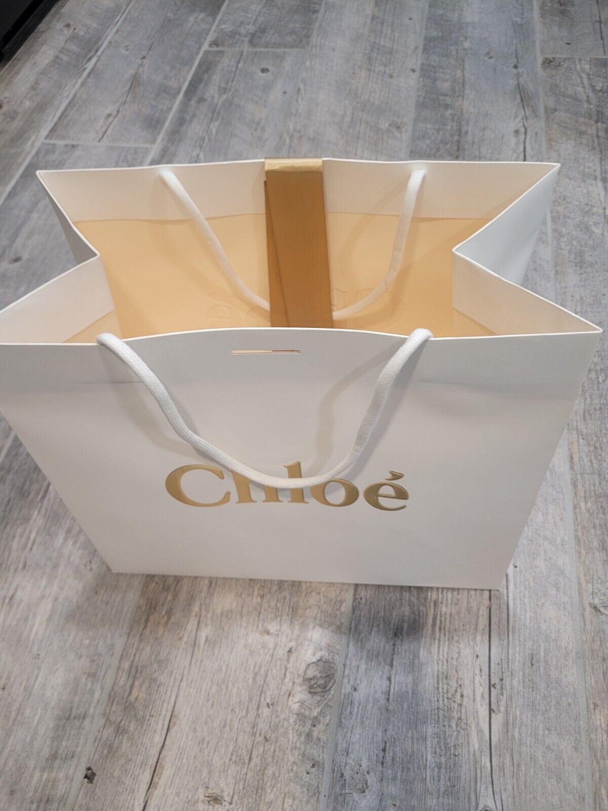 Authentic CHLOE Paper Luxury Shopping Gift Bag-(LOT 18)-12 Authentic CHLOE Paper Luxury Shopping Gift Bag-(LOT 18)-12