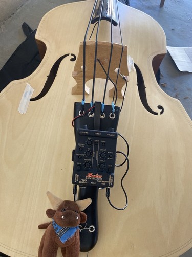 値下げ！！　Bumped Skinny Cats 超低テンション弦 Amazon.com: Ernie Ball 8-String Skinny Top Heavy Bottom