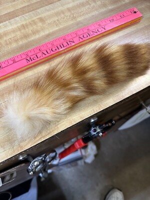 Tanned Raccoon Tail #2 Quality Small 8 to 11'' SPECIAL DYED FOR FLY TYING ONLY
