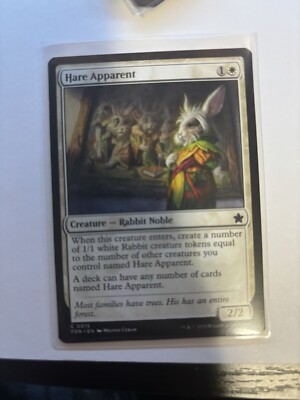 Hare Apparent Foundations Regular