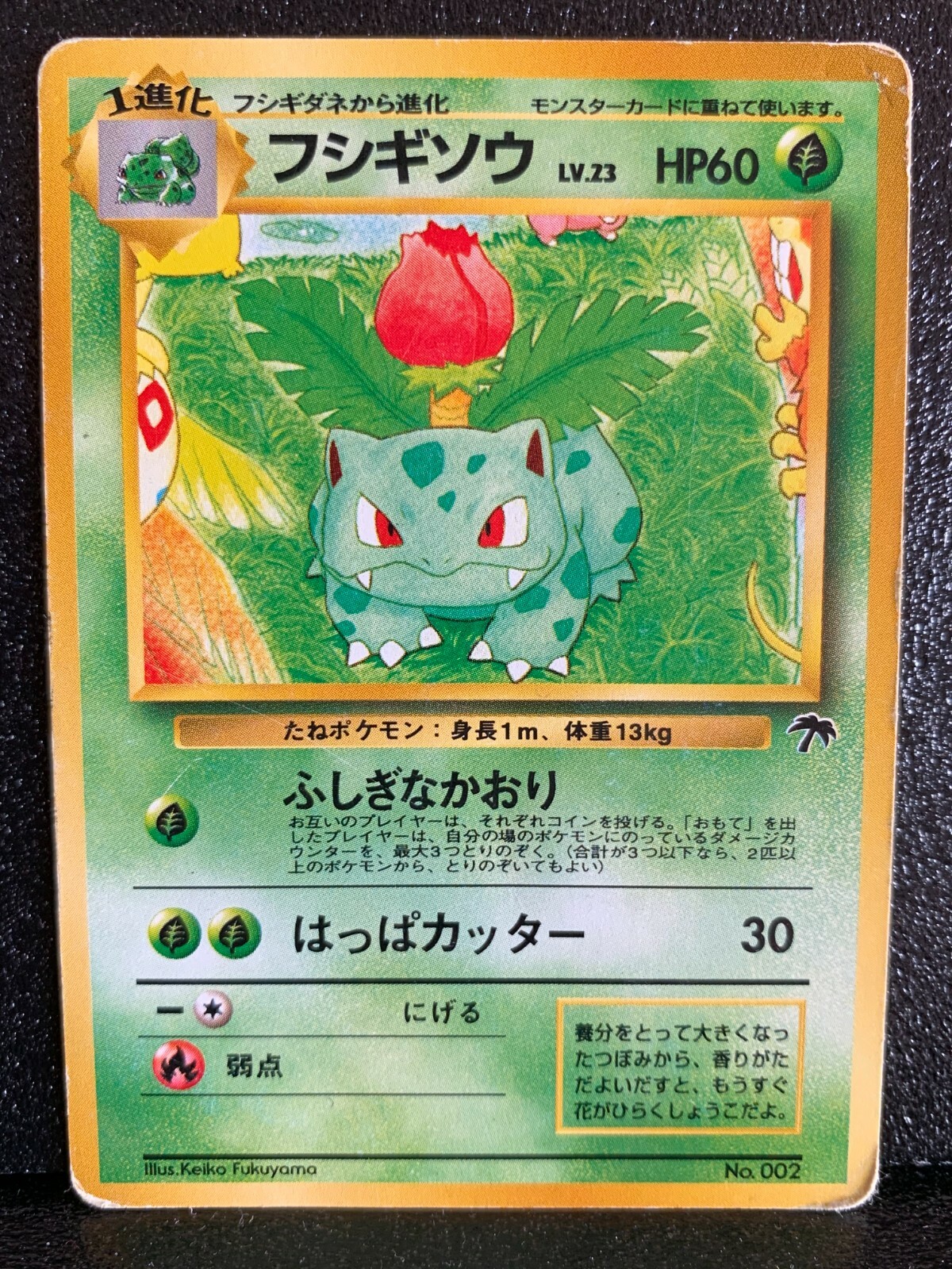 新品レア旧裏面Pokémoncard Southern s set Ivysaur Southern Islands Pokemon Card 002 Japanese Rare