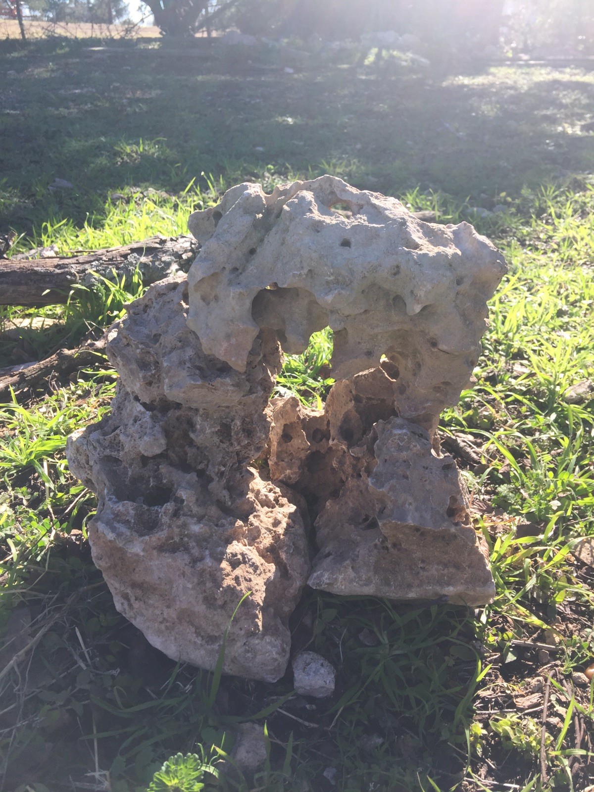 3 Beautiful Texas Holey Rocks (Raw) Approximately 20lbs