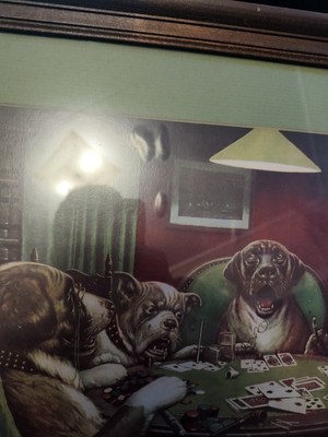 Fotos del artículo de un comprador verificado
