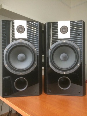 focal chorus 806v price