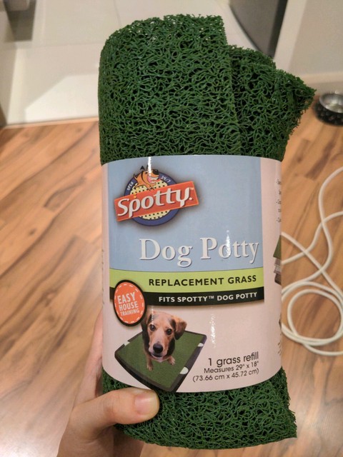 spotty dog potty