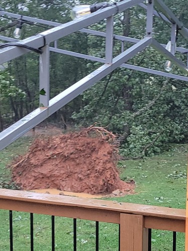 Fotos del artículo de un comprador verificado