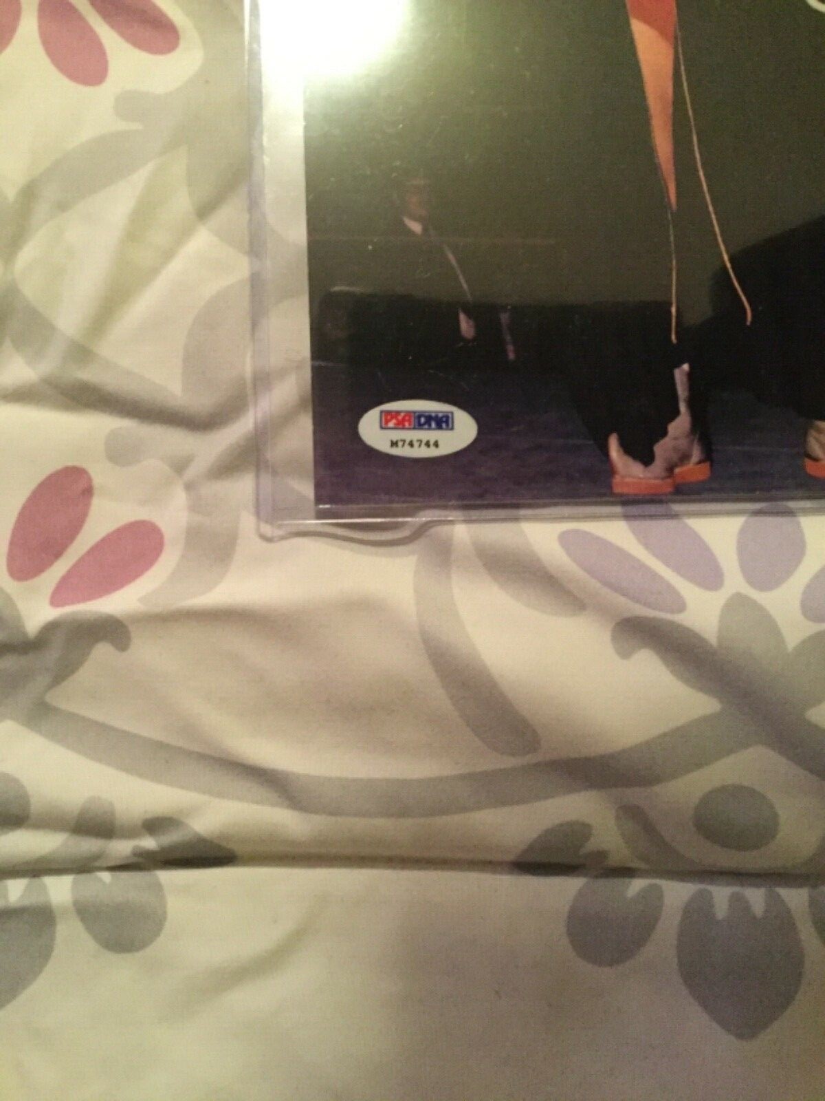 The Iron Sheik Signed 8 x 10 Photo PSA/DNA