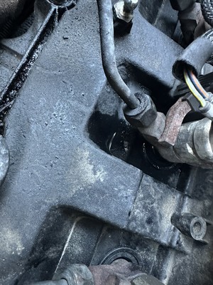 Foto dell'oggetto di un acquirente verificato
