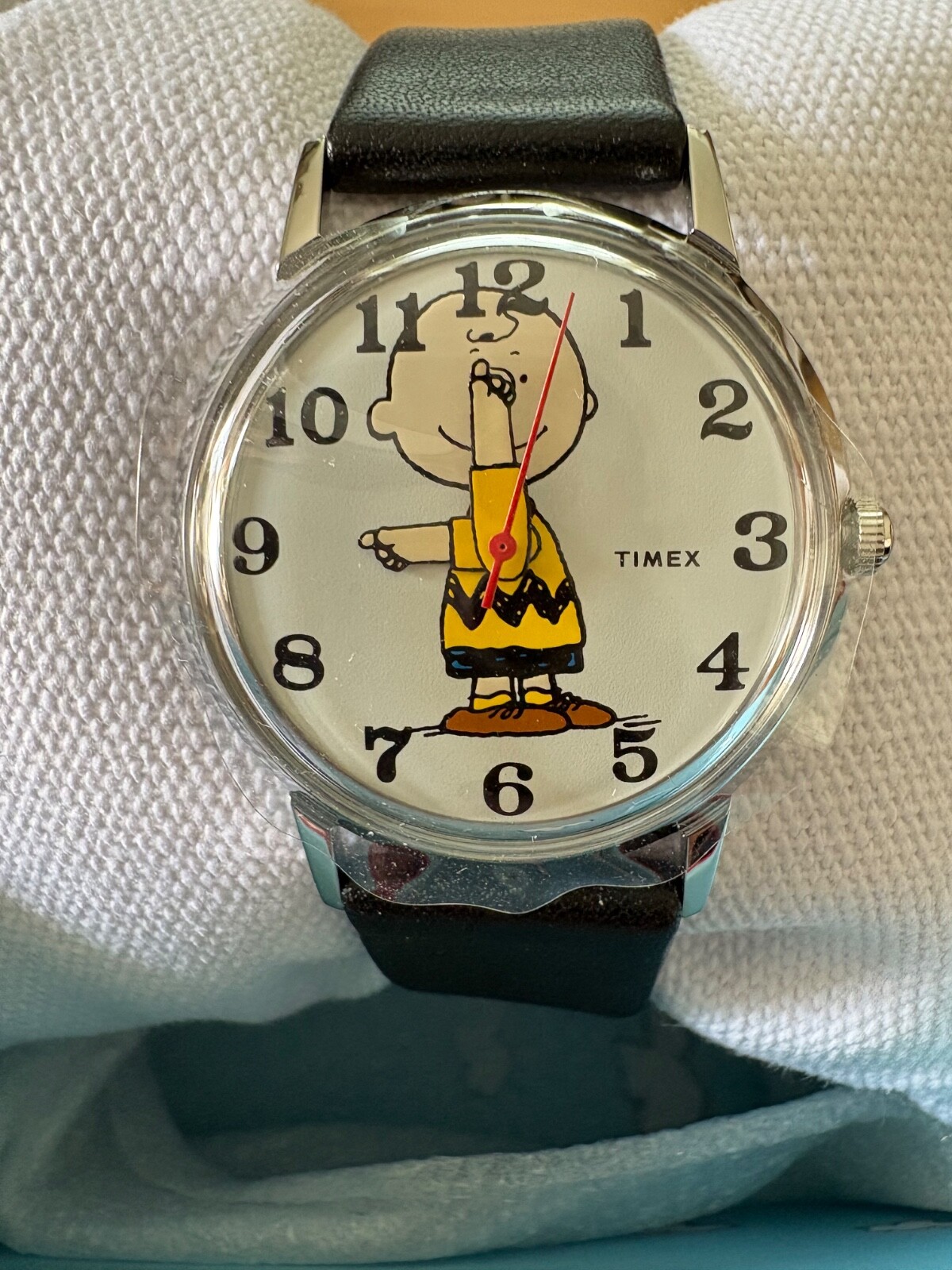 TIMEX × PEANUTS スヌーピー チャーリーブラウン限定コラボ腕時計 