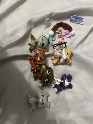 Fotos del artículo de un comprador verificado