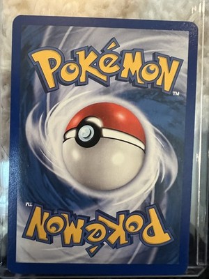 Photos de l'objet d'un acheteur vérifié