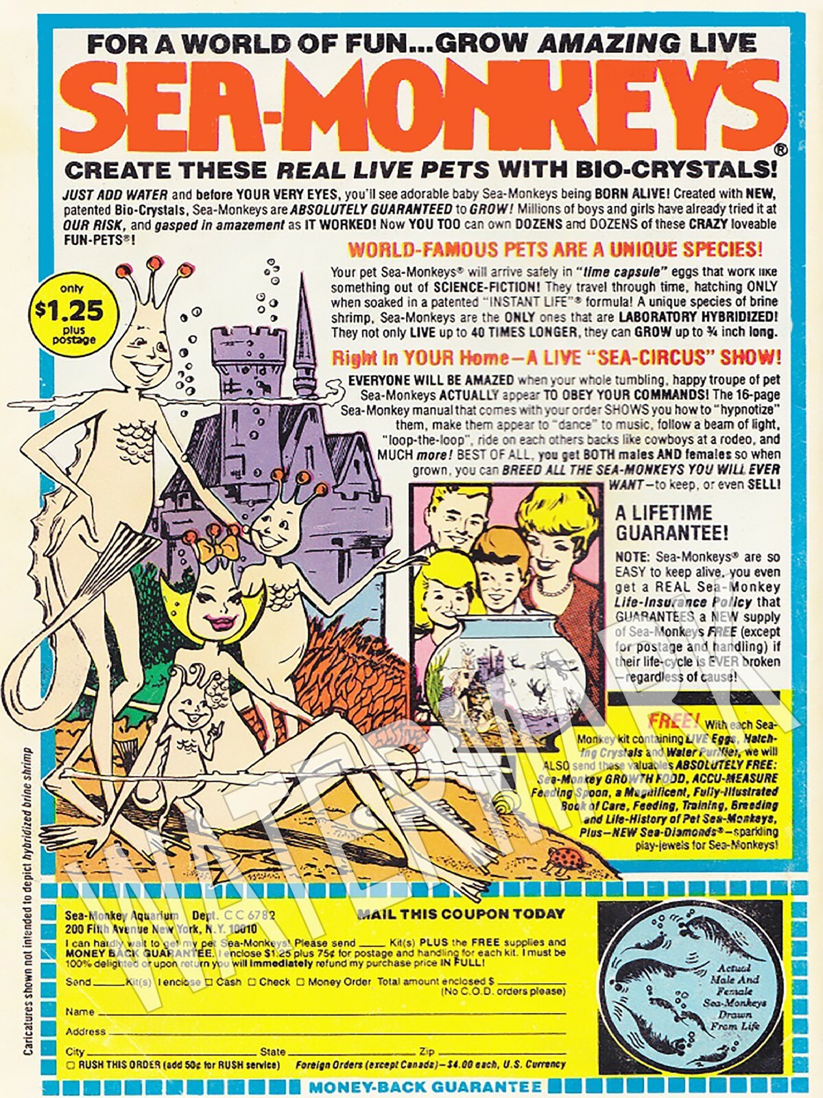 Sea monkeys Vintage High Quality Metal Magnet 3 x 4 inches