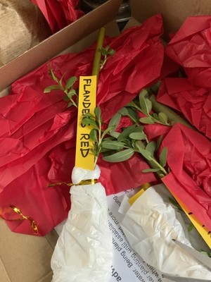 Item photo(s) from verified buyer