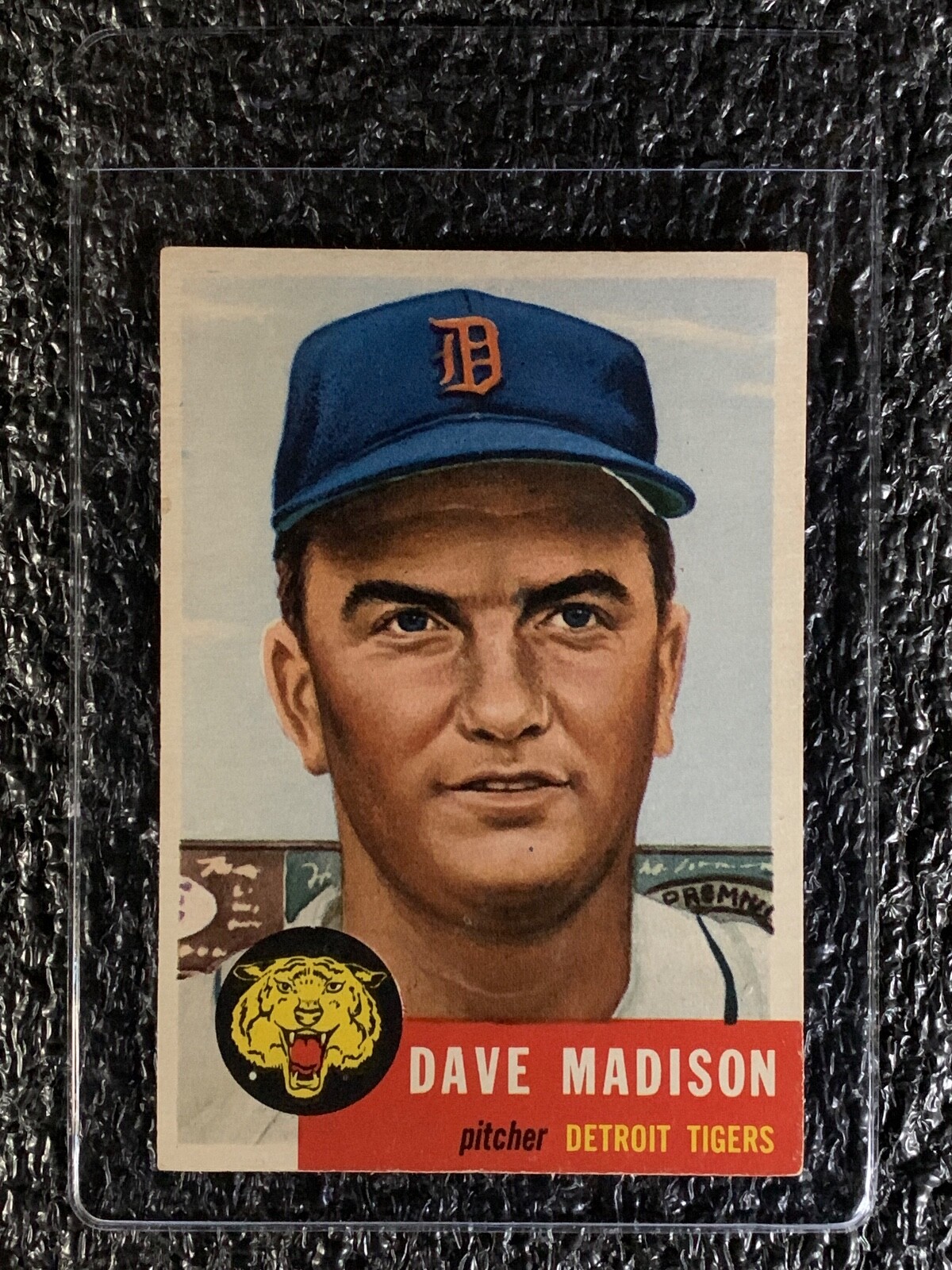 ノスタルジー23 TN130011SC239_1200x1200.jpg?v=