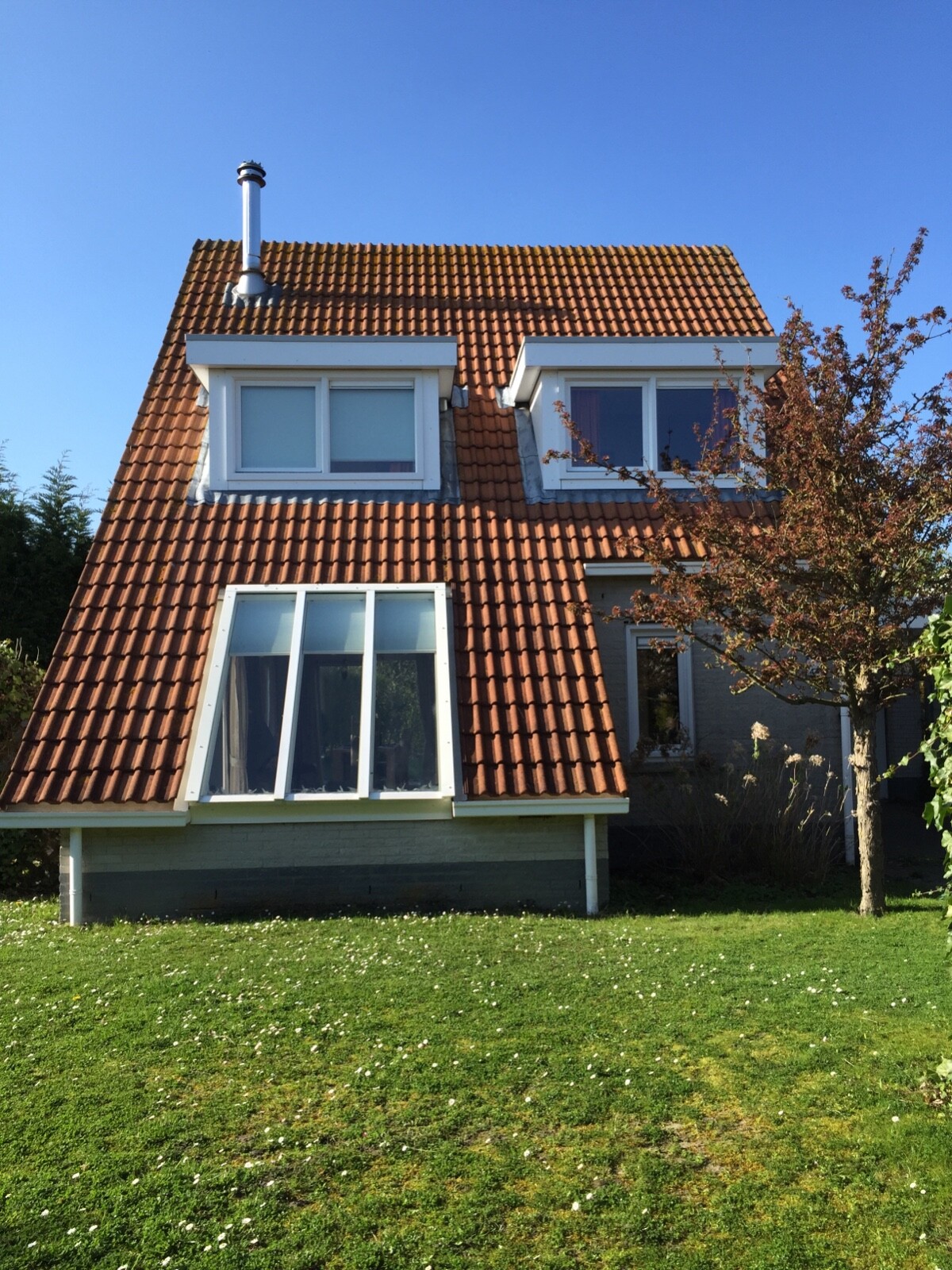 Luxus Ferienhaus, Niederlande Holland Zeeland Renesse Nordsee
