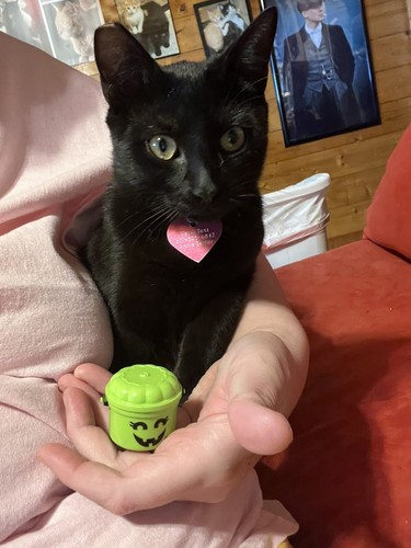 Item photo(s) from verified buyer