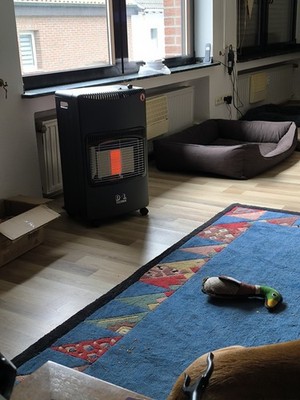 Artikelfoto(s) von einem verifizierten Käufer