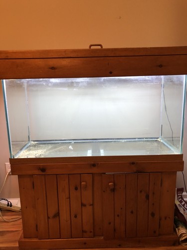 90 gallon fish tank