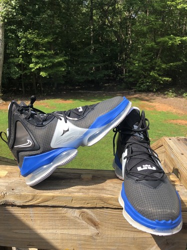 lebron duke shoes
