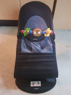 used bjorn bouncer