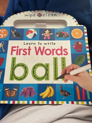 Learn to write first words wipe clean book