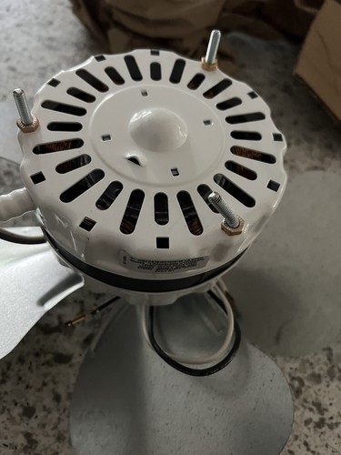 Foto dell'oggetto di un acquirente verificato