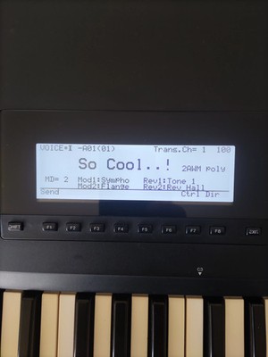 Artikelfoto(s) von einem verifizierten Käufer