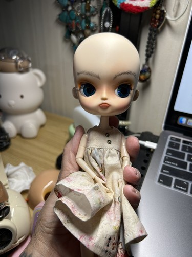 プーリップ カスタム プーリップカスタム アイギミックもっと詳しく｜キラボシザッカ