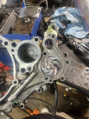 Artikelfoto(s) von einem verifizierten Käufer