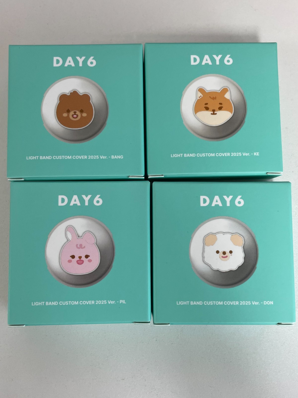 Day6 LIGHT BAND CUSTOM COVER+STRAP ヨンケイ ON HAND)DAY6 LIGHT BAND CUSTOM COVER 2025 Ver. - FOREVER YOUNG