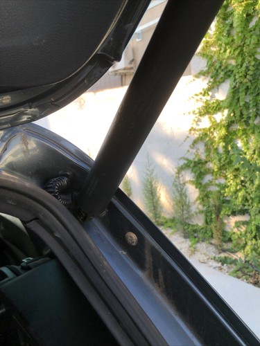 Fotos del artículo de un comprador verificado