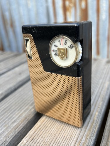 L*f様 スポット値下げ❗️絶版☆GI JOE 35周年記念DOG TAG500