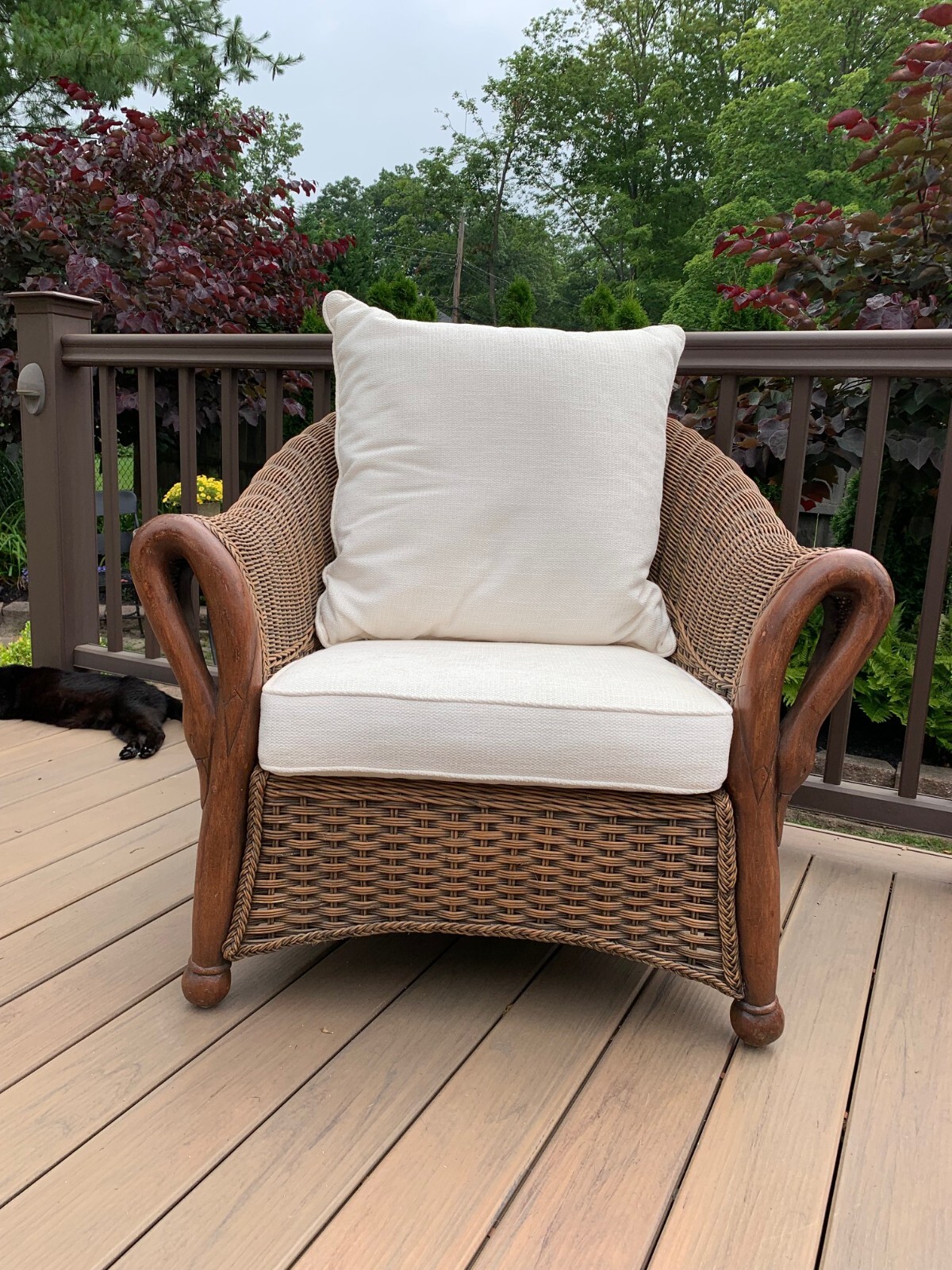 Indoor Swan Arm Wicker Chair with Cushions