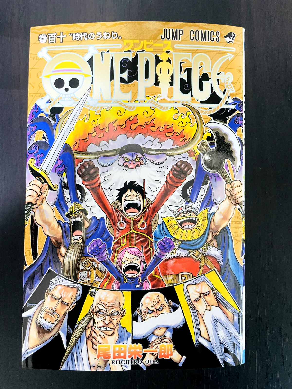 Amazon.com: One Piece 100 (Japanese Edition): 9784088827803