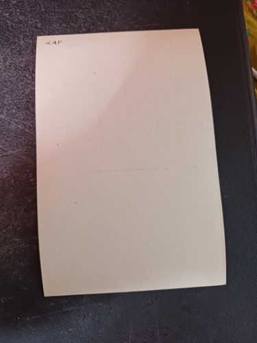 vtg postcard Pietro Perugino Baptism of Christ painting art unposted