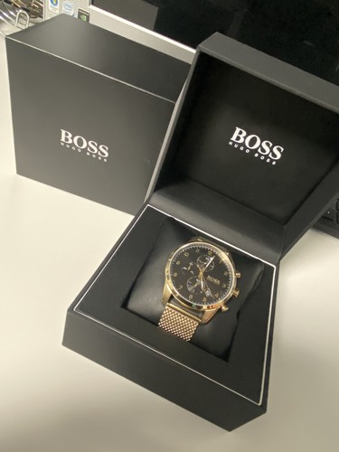 Hugo Boss Chronograph Skymaster - Gold (1513838)