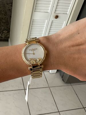 Bulova 96M123 Winter Park Precisionist Date Silver Tone