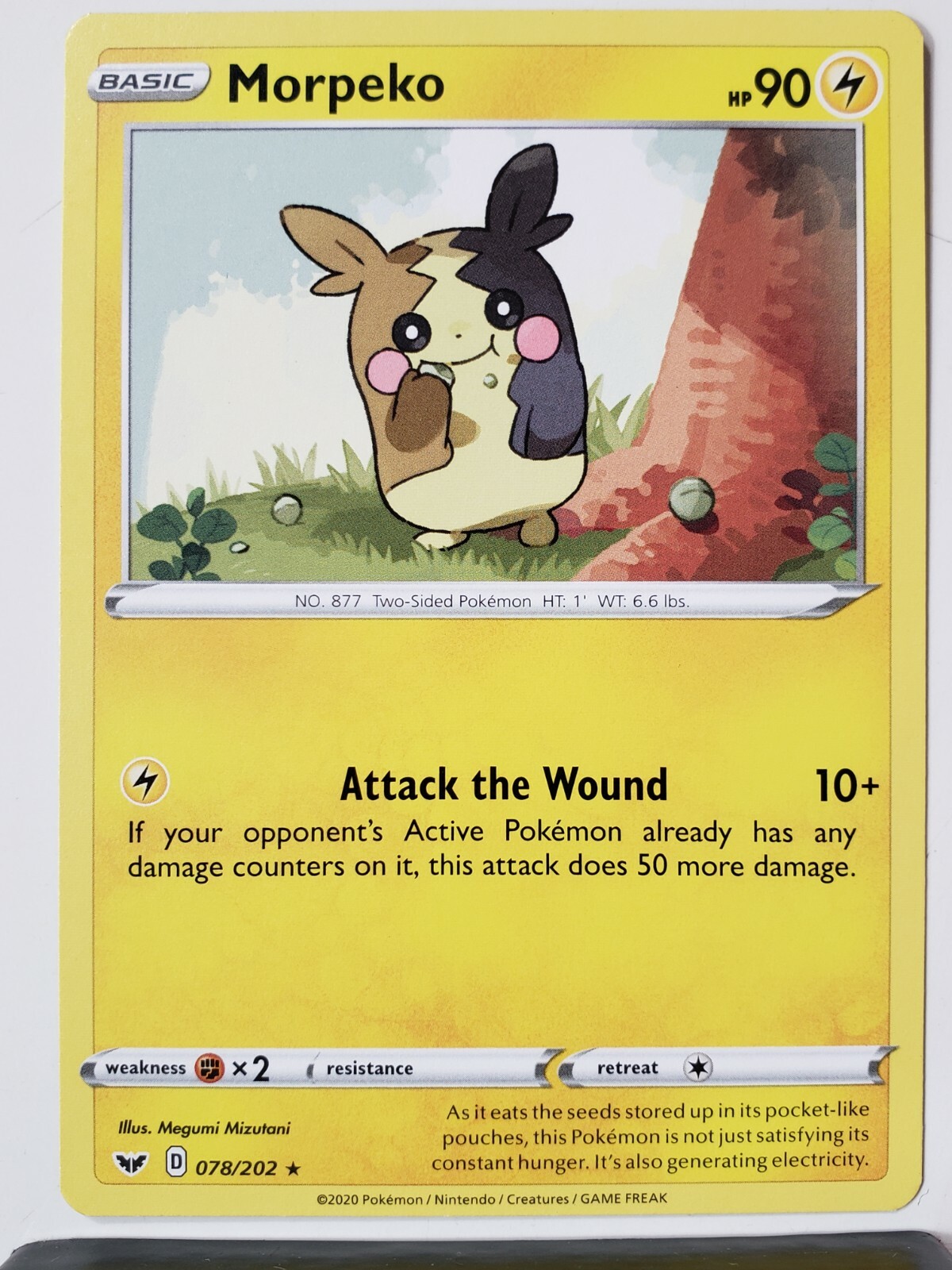 $_57.JPG?set_id=880000500F