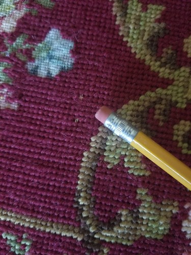 PRICE REDUCED -Antique Needlepoint Pillow  Floral  design