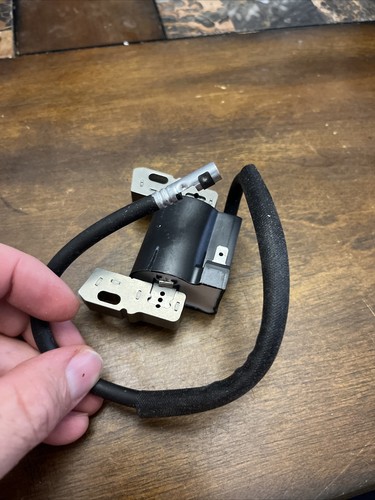 Briggs & Stratton 799651 843931 Ignition Coil Module. Brand New!