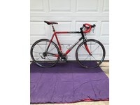 cannondale custom paint