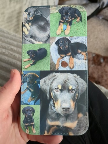Artikelfoto(s) von einem verifizierten Käufer