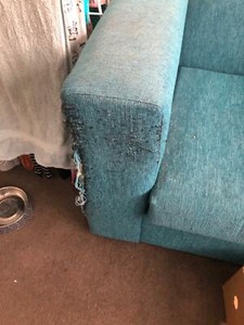 Fantastic Furniture Armchair Armchairs Gumtree Australia