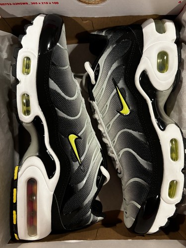 Nike Air Max Plus Big Kids' Shoes CD0609-022