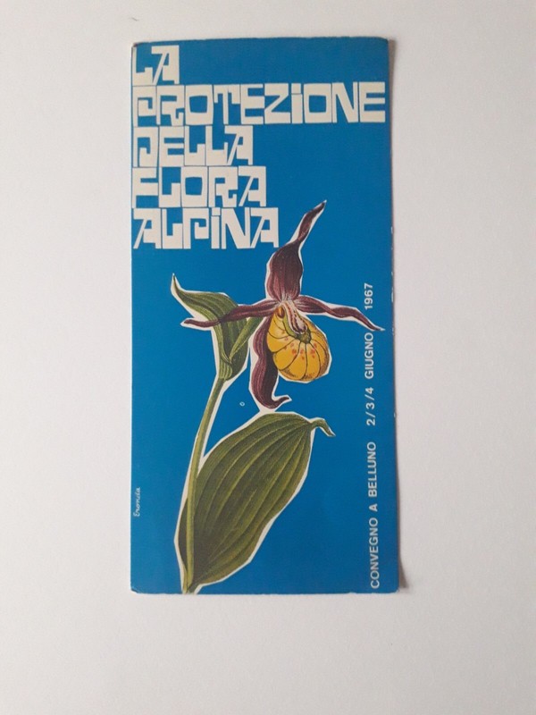 Convegno Flora Alpina - Belluno  -Cartolina  1Â° Giorno Emissione -