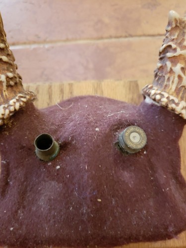 Whitetail Deer Antler 7 Point Horn Man Cave Mount Wood Plaque