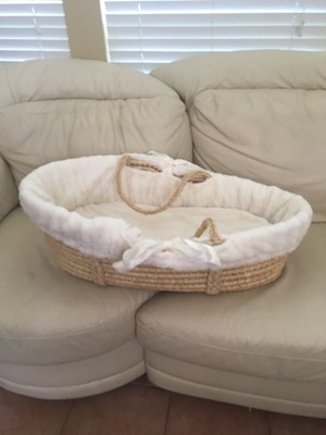 jolly jumper moses basket