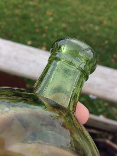 Celery Green Citron Warranteed Flask