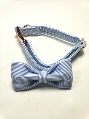 Unique style paws Pet Soft &Comfy Bowtie Dog Collar blue white pinstripe Large